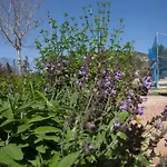 Finca Son Montserrat